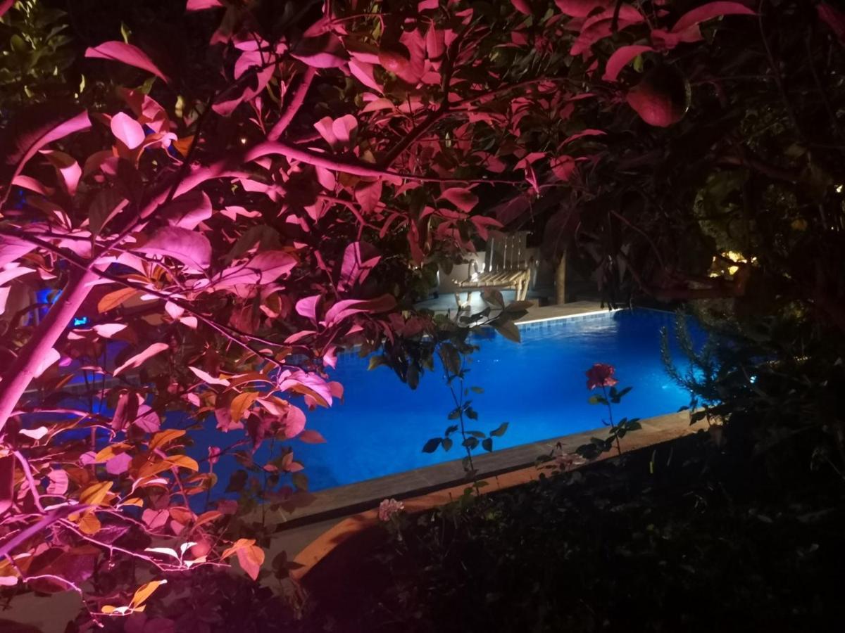 Riad Avec Terrasse Privee Et Piscine Partagee A 300M Фес Екстер'єр фото